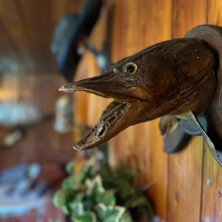 Marketka בית נופש *