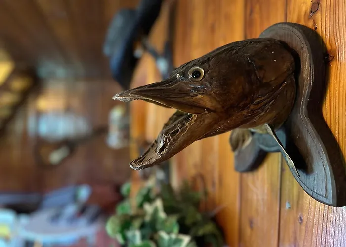 Marketka Vakantiehuis *